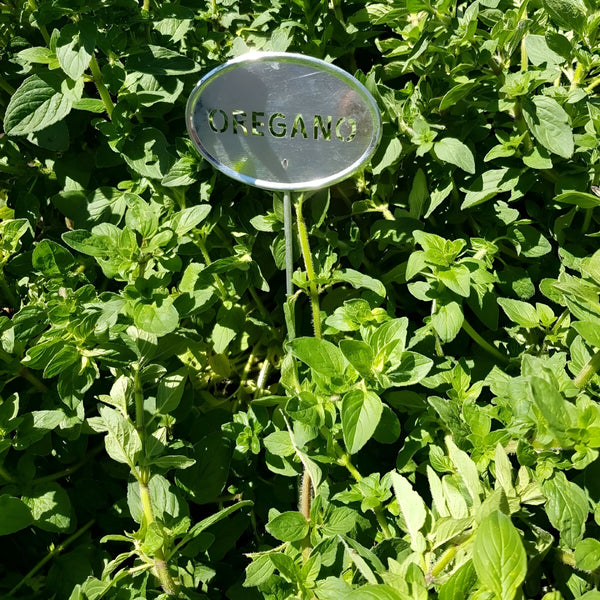 Set of 10 Silver Metal Outdoor Garden Herb Labels Stakes