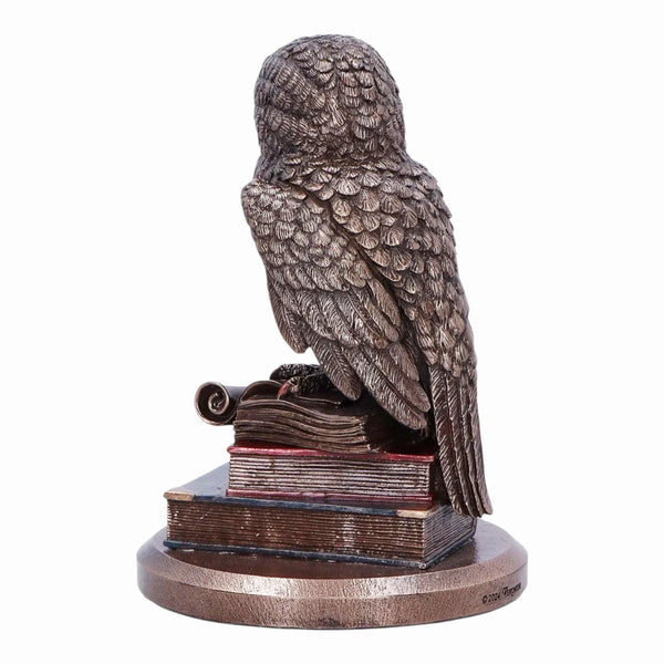 Veronese Bronze Scholar An Owl's Tale On Books Resin Statue Figurine
