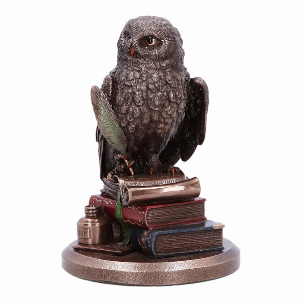 Veronese Bronze Scholar An Owl's Tale On Books Resin Statue Figurine