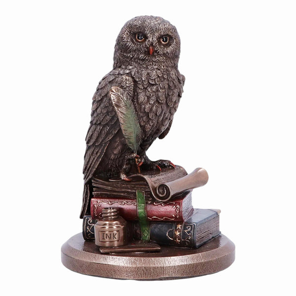 Veronese Bronze Scholar An Owl's Tale On Books Resin Statue Figurine