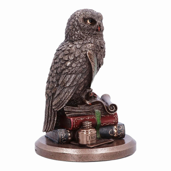 Veronese Bronze Scholar An Owl's Tale On Books Resin Statue Figurine