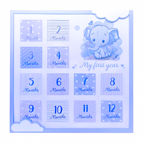 Blue Baby Boy Elephant My First Year 12 Months Multi Photo Frame