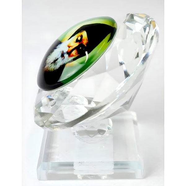 Catholic Crystal Cut Glass Saint Charbel Religious Ornament