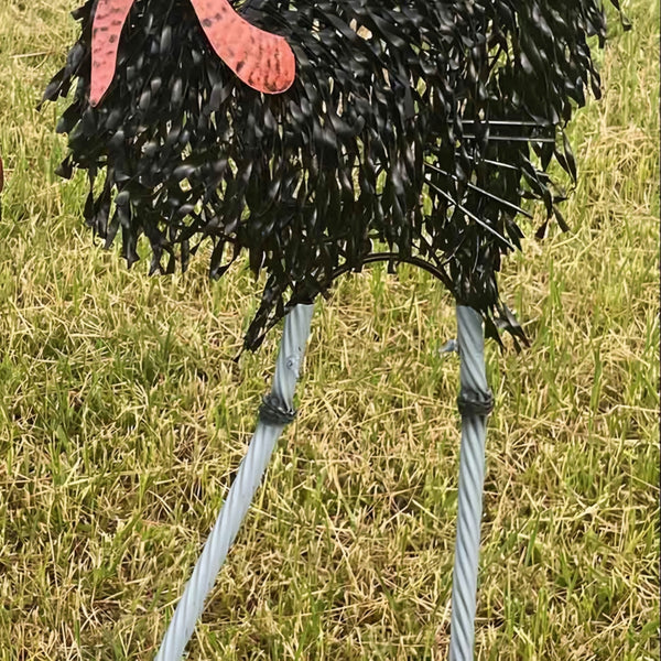 Set of 2 Assorted Large Black Metal Cassowary Couple Garden Statues
