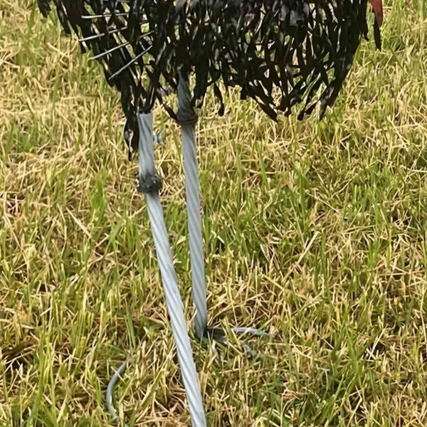 Set of 2 Assorted Large Black Metal Cassowary Couple Garden Statues