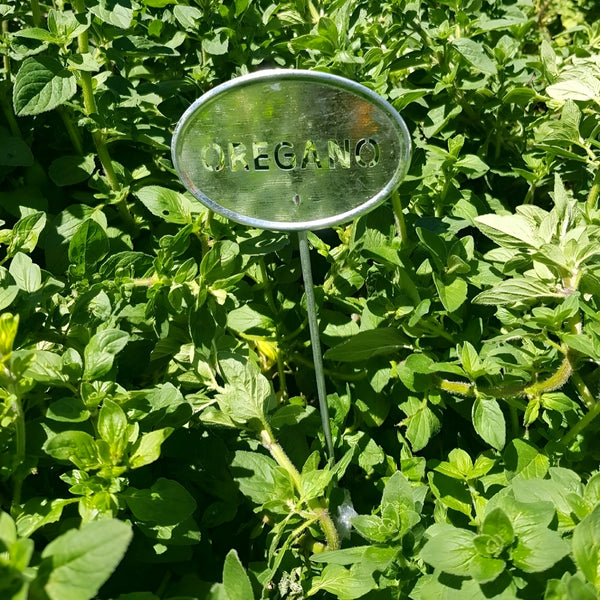Set of 10 Silver Metal Outdoor Garden Herb Label Stakes