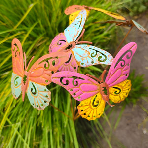 Set of 6 Coloured Outdoor Garden Butterfly Stakes