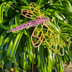 Set of 4 Coloured Outdoor Garden Dragonfly Stakes