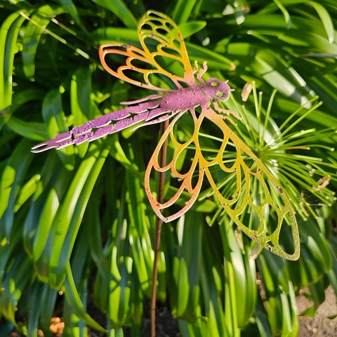 Set of 4 Coloured Outdoor Garden Dragonfly Stakes