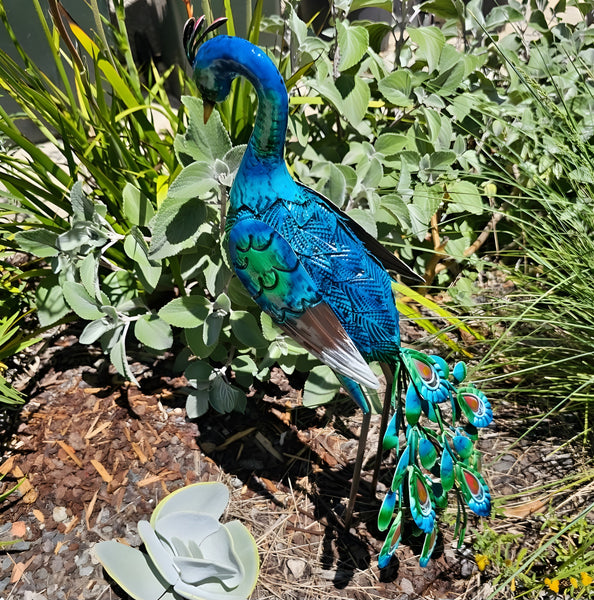 Colourful Blue & Green Standing Metal Peacock Outdoor Garden Statue Sculpture