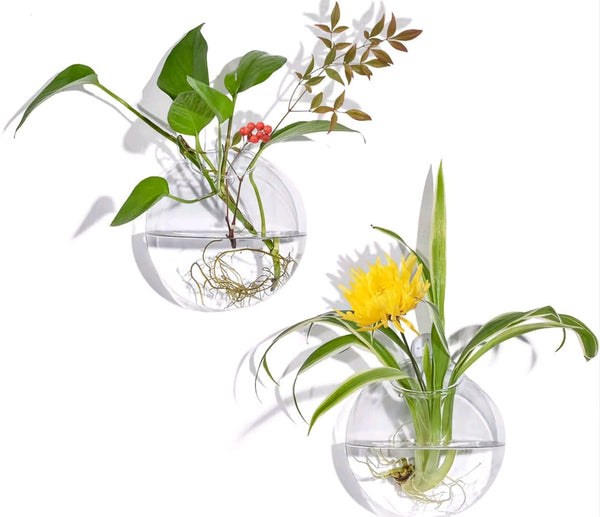 Set 2 Hanging Clear Glass Hydroponic Terrarium Planter Ball Wall Vase