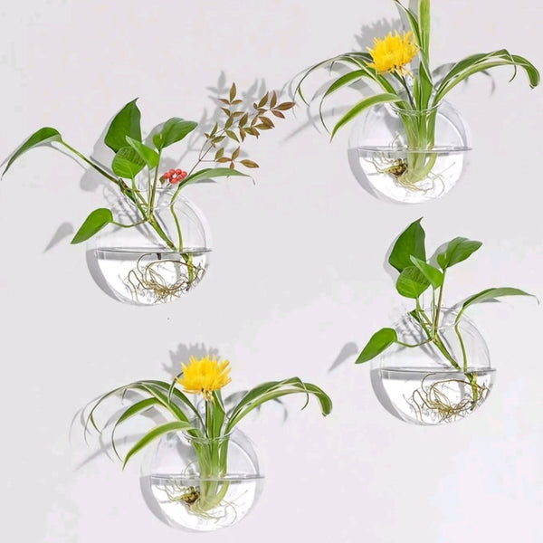 Set 2 Hanging Clear Glass Hydroponic Terrarium Planter Ball Wall Vase