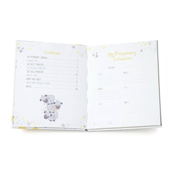 Me To You Tiny Tatty Teddy Pregnancy Journal